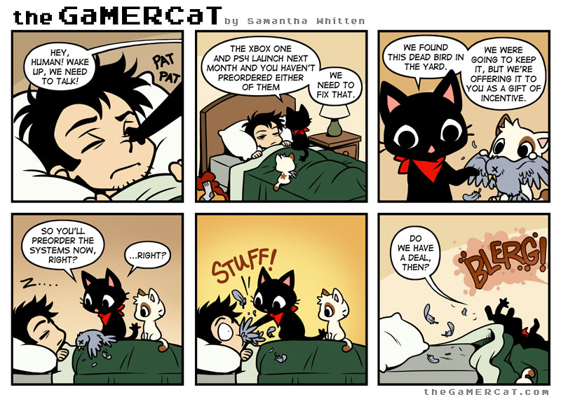 The GaMERCaT  Gamer cat, Fun comics, Cat comics