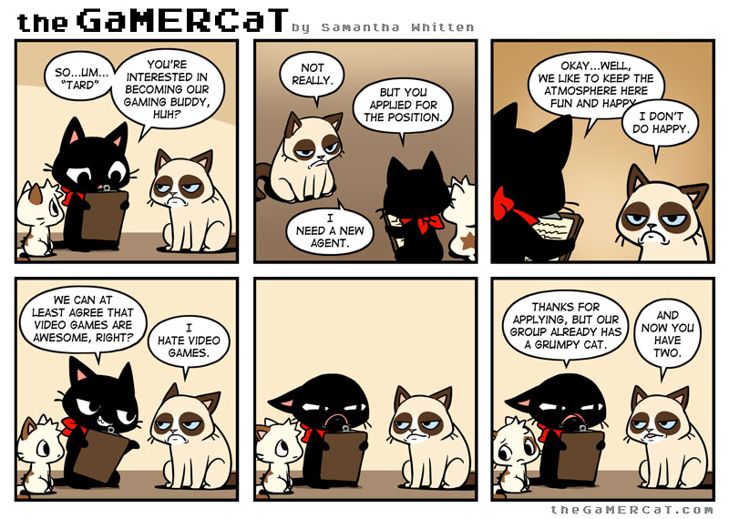 the GAMERCat understands what it means to be a REALGAMER™ !!! :  r/xXRealGamerzXx